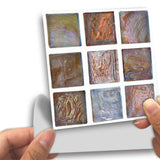 Funlife®|Brown Shell Mosaic Wall Tile Sticker