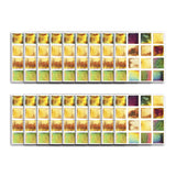 Funlife®|Colorful Mosaic Wall Tile Sticker