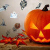 Funlife®|Halloween Bat Child Room Wall Decal