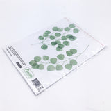 Funlife®|Watercolor Leaves Play Room Wall Sticker